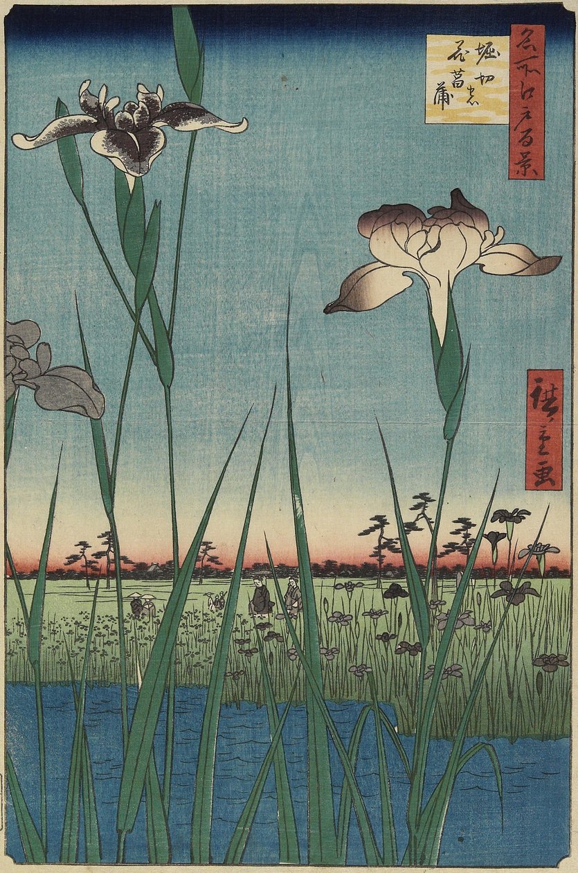 حديقة إيريس في هوريكيري ، مايو 1857 بواسطة Utagawa Hiroshige