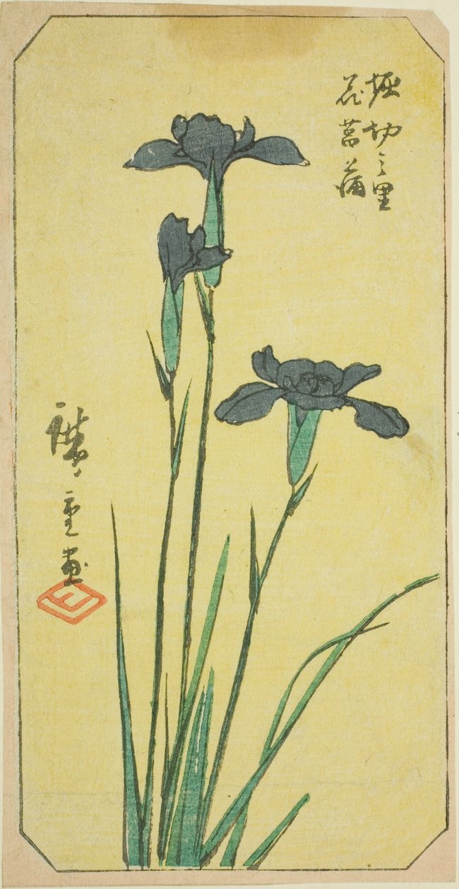 Iris at Horikiri Village (Horikiri no sato hanashobu) ، قسم من ورقة من سلسلة "قطع صور لأماكن شهيرة في إيدو (Edo meisho harimaze zue)" بواسطة Utagawa Hiroshige