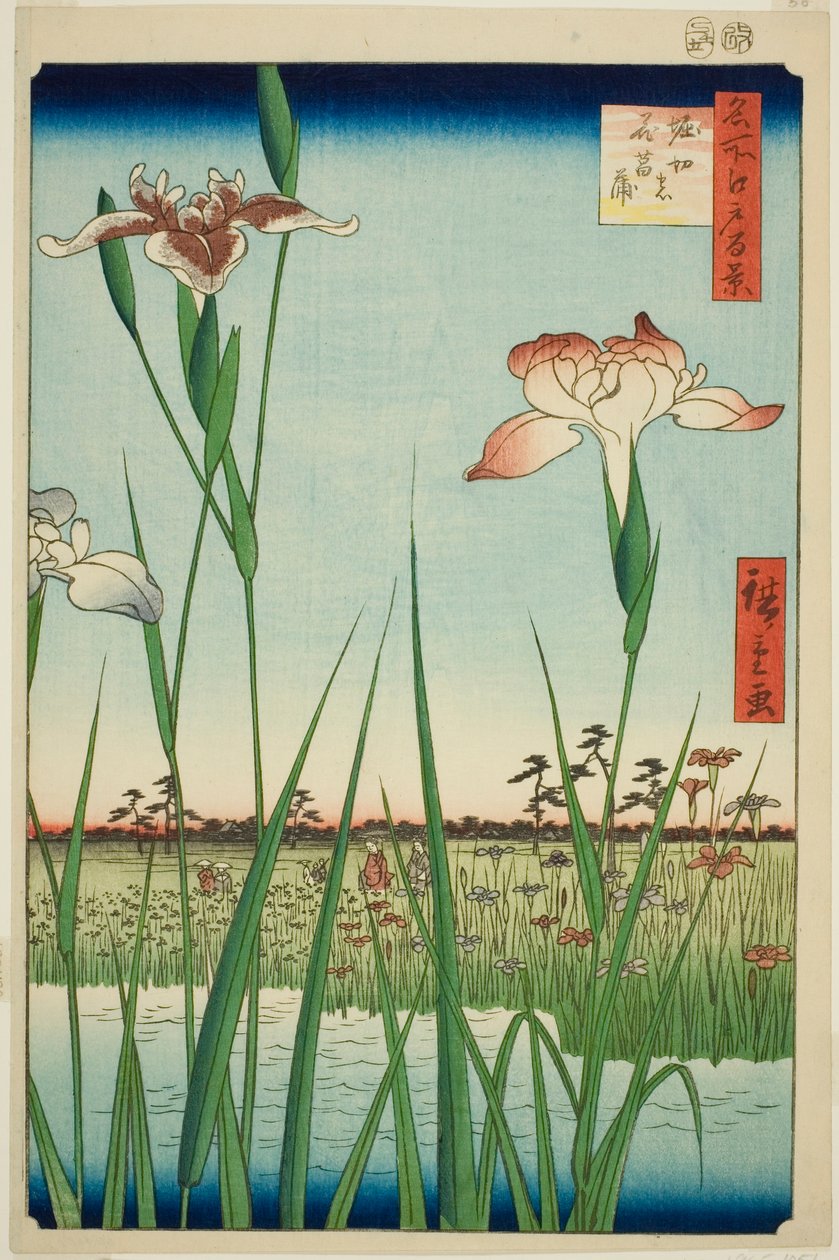 Irises at Horikiri (Horikiri no hanashobu) ، من سلسلة "مائة منظر مشهور لإيدو (ميشو إيدو هياكي)" بواسطة Utagawa Hiroshige