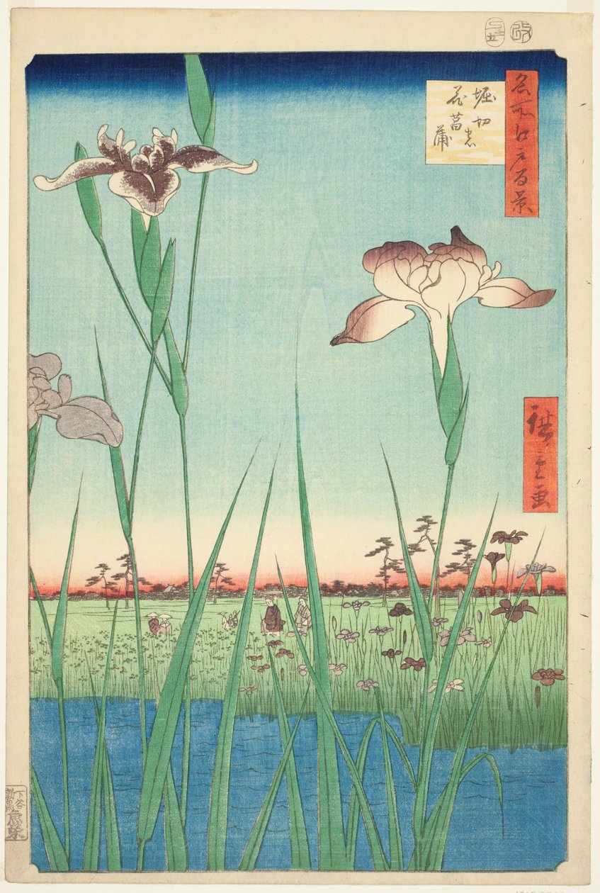 Irises at Horikiri (Horikiri no hanashobu) ، من سلسلة "مائة منظر مشهور لإيدو (ميشو إيدو هياكي)" بواسطة Utagawa Hiroshige