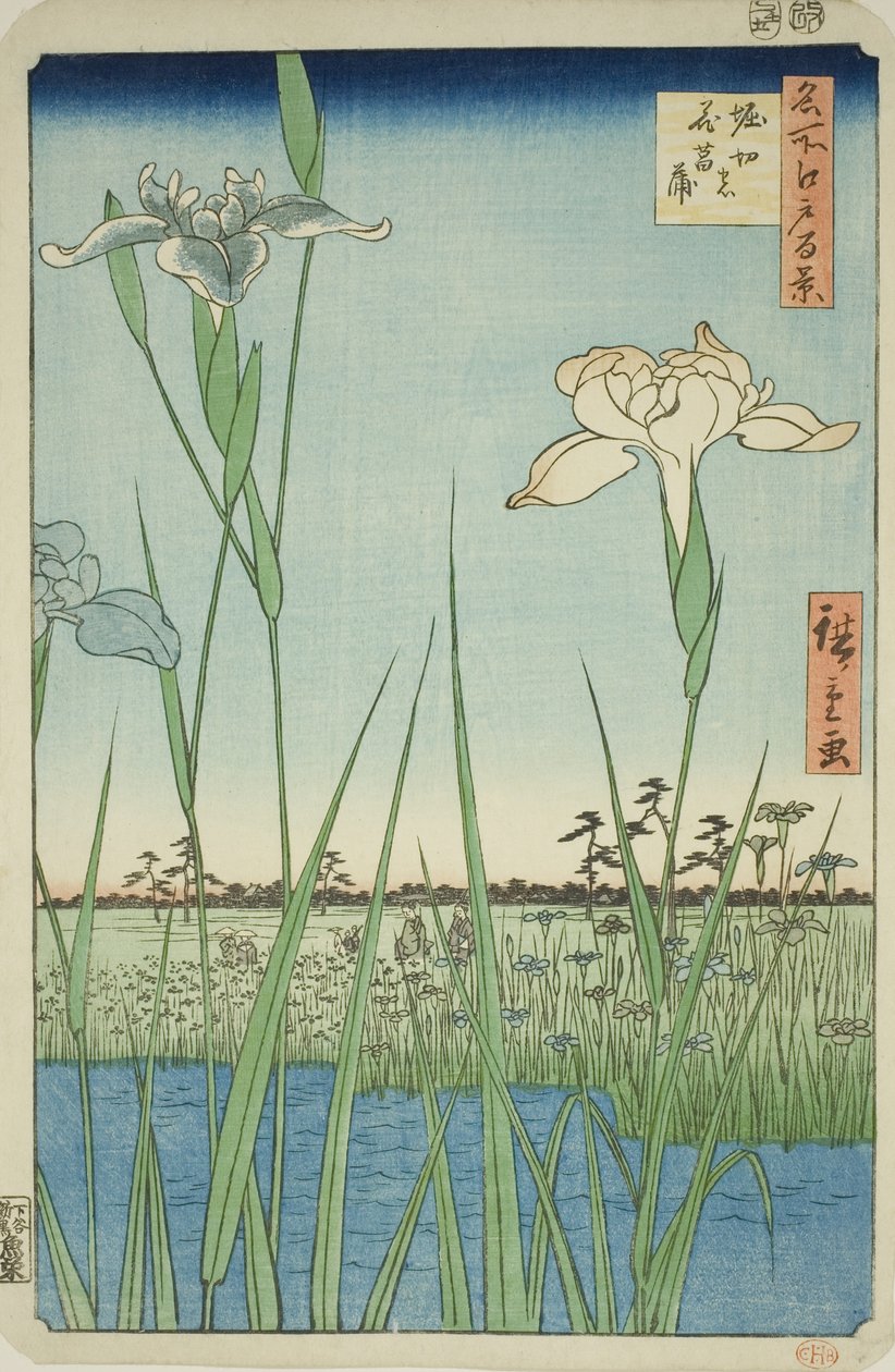 Irase s at Horikiri (Horikiri no Hanadokorobe) ، من سلسلة te s `` Ridge d re d f s Vie ws of Edo (مائة منظر مشهور لإيدو) " بواسطة Utagawa Hiroshige