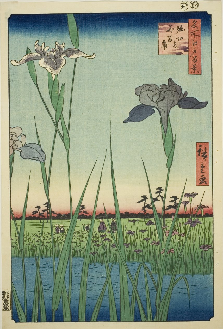 Irase s at Horikiri (Horikiri no Hanadokorobe) ، من سلسلة te s `` Ridge d re d f s Vie ws of Edo (مائة منظر مشهور لإيدو) " بواسطة Utagawa Hiroshige