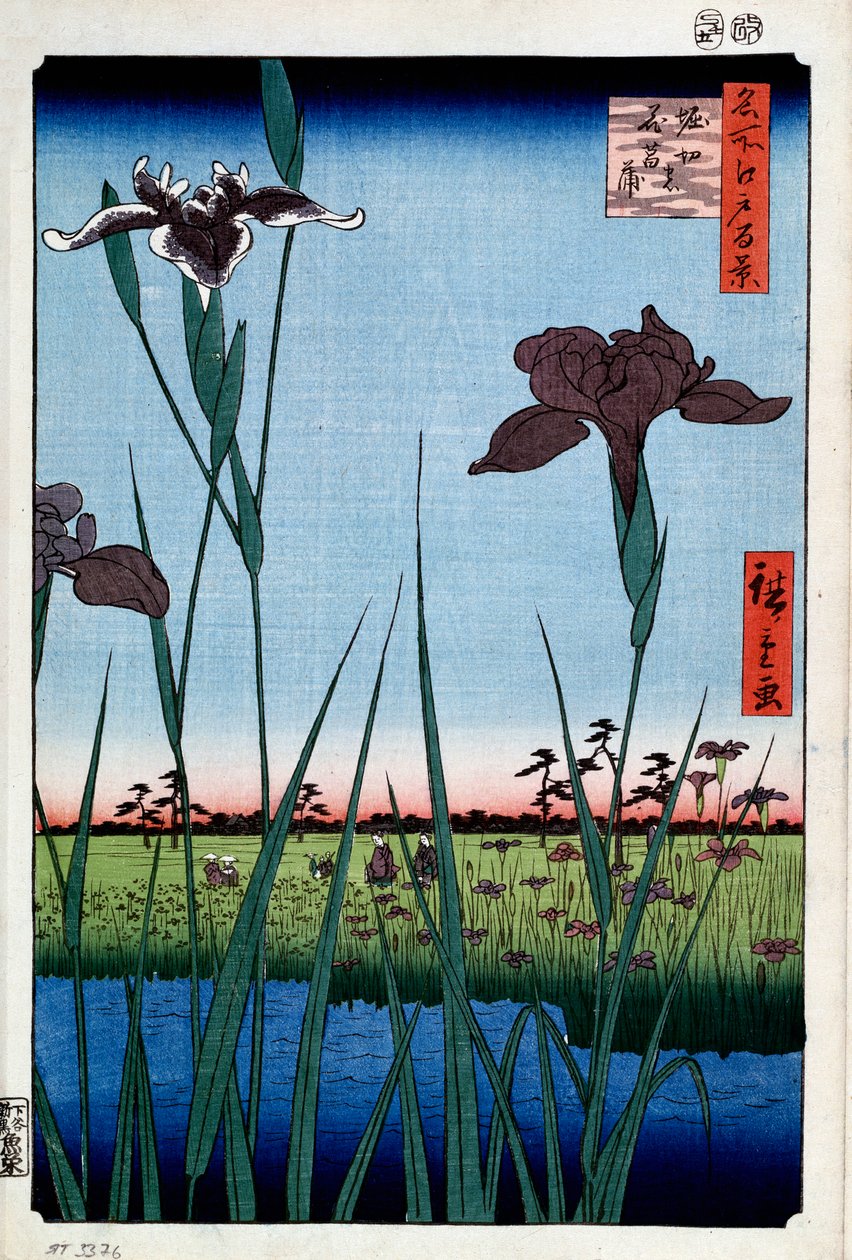 قزحية في هوريكيري مائة منظر مشهور لإيدو ، ١٨٥٦-١٨٥٨. بواسطة Utagawa Hiroshige