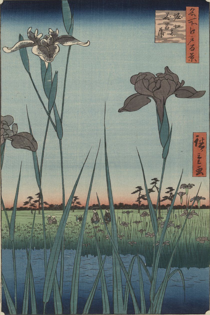 Irises of Horikiri ، من سلسلة مائة منظر مشهور لإيدو بواسطة Utagawa Hiroshige