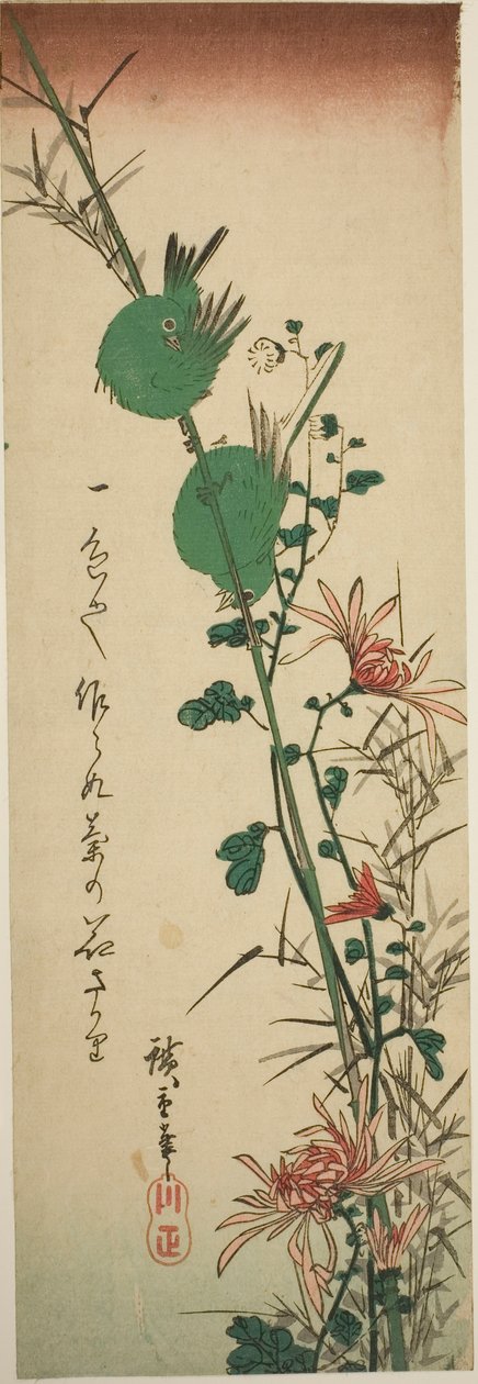 عيون بيضاء يابانية وأقحوان بواسطة Utagawa Hiroshige