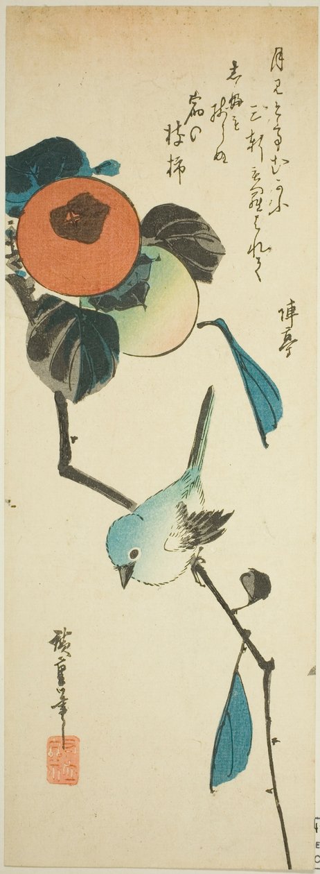 عين بيضاء يابانية وكاكي بواسطة Utagawa Hiroshige