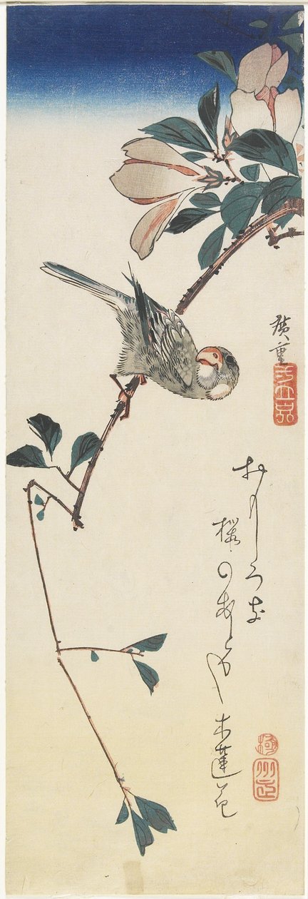 جافا سبارو وماغنوليا ، 1834-1839 بواسطة Utagawa Hiroshige