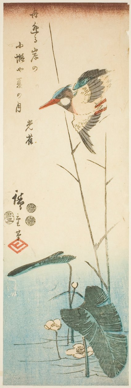 الرفراف فوق نبتة مائية ذات أزهار صفراء بواسطة Utagawa Hiroshige
