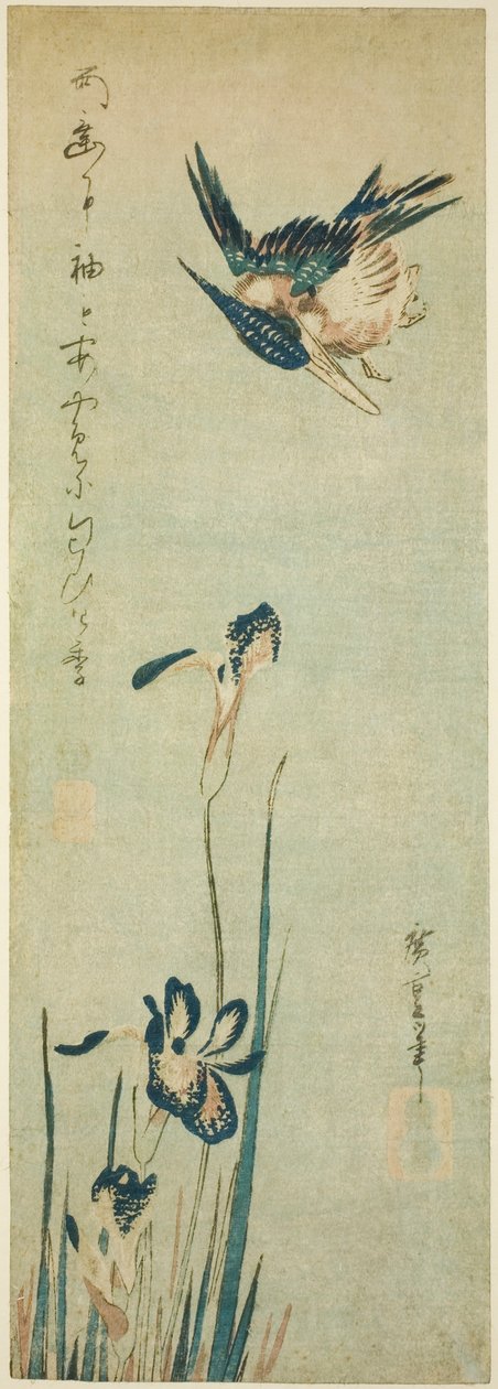 الرفراف والقزحية بواسطة Utagawa Hiroshige
