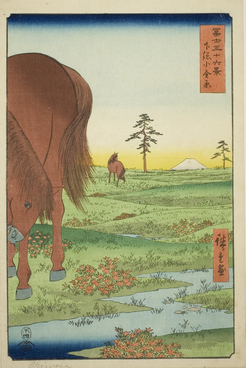 عضو Ogane P الجيد Gesasa P Rovinse (Shimosa Koganehara) ، من Te serie s "Ti rty Mr. x Vie ws Of mo t Fuji (Fuji Usaju Rokukatsu)" بواسطة Utagawa Hiroshige