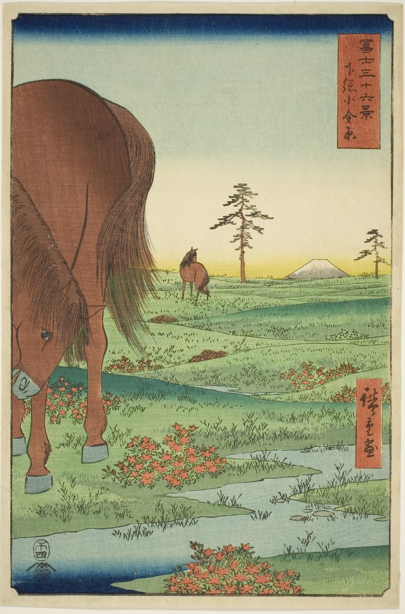 عضو Ogane P الجيد Gesasa P Rovinse (Shimosa Koganehara) ، من سلسلة Te `` السيد Tyrty x مناظر لجبل فوجي (Fuji Usaju Rokukatsu) " بواسطة Utagawa Hiroshige