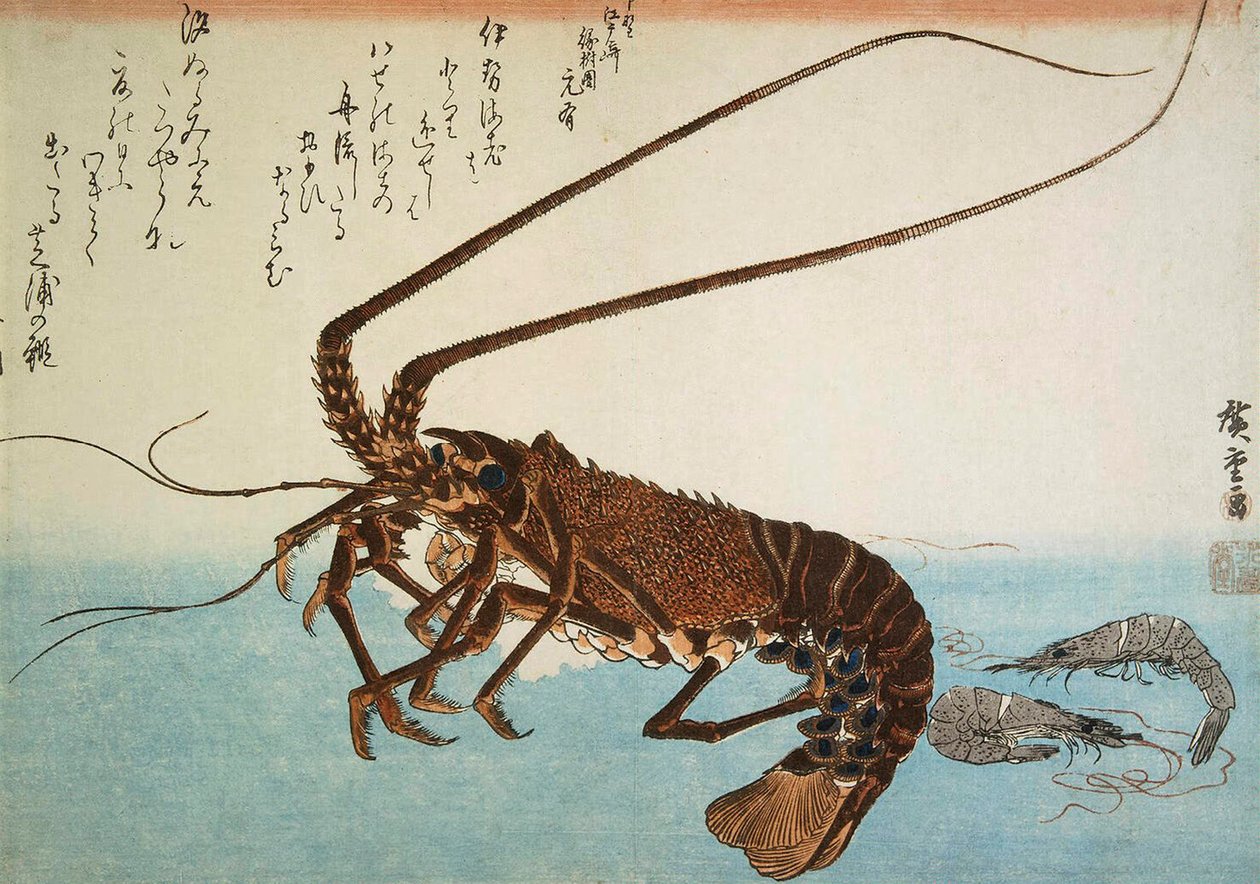 لوبستر وروبيان ، 1832-1834. بواسطة Utagawa Hiroshige