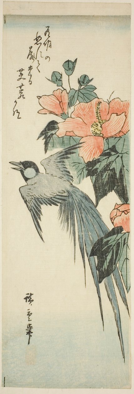 طائر طويل الذيل والكركديه بواسطة Utagawa Hiroshige