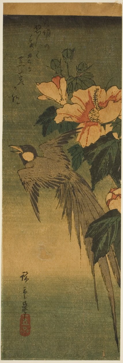 طائر طويل الذيل والكركديه بواسطة Utagawa Hiroshige