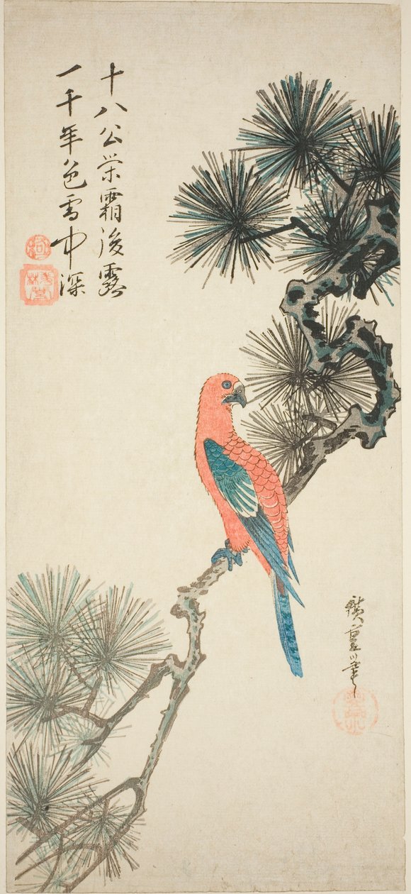 الببغاء على فرع الصنوبر بواسطة Utagawa Hiroshige
