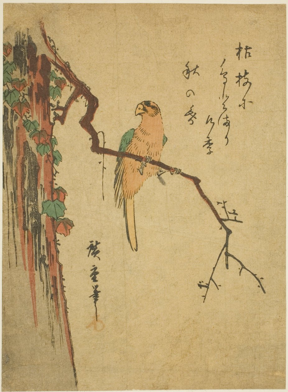 الببغاء على شجرة مغطاة باللبلاب بواسطة Utagawa Hiroshige