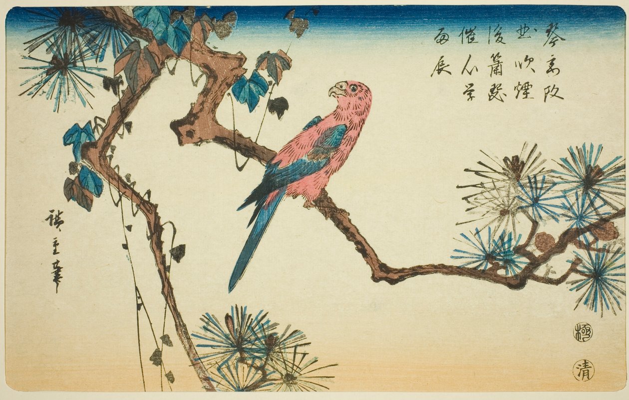 الببغاء على فرع الصنوبر بواسطة Utagawa Hiroshige