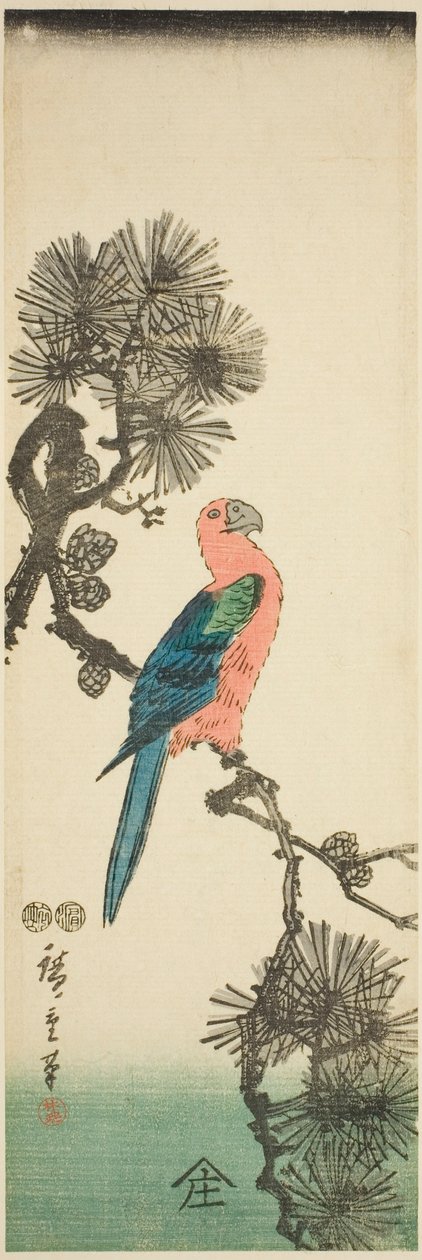 الببغاء على فرع الصنوبر بواسطة Utagawa Hiroshige