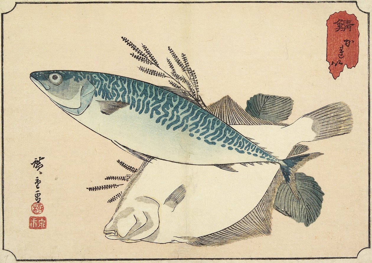 ماكريل وهلبوت ، أوائل القرن التاسع عشر بواسطة Utagawa Hiroshige