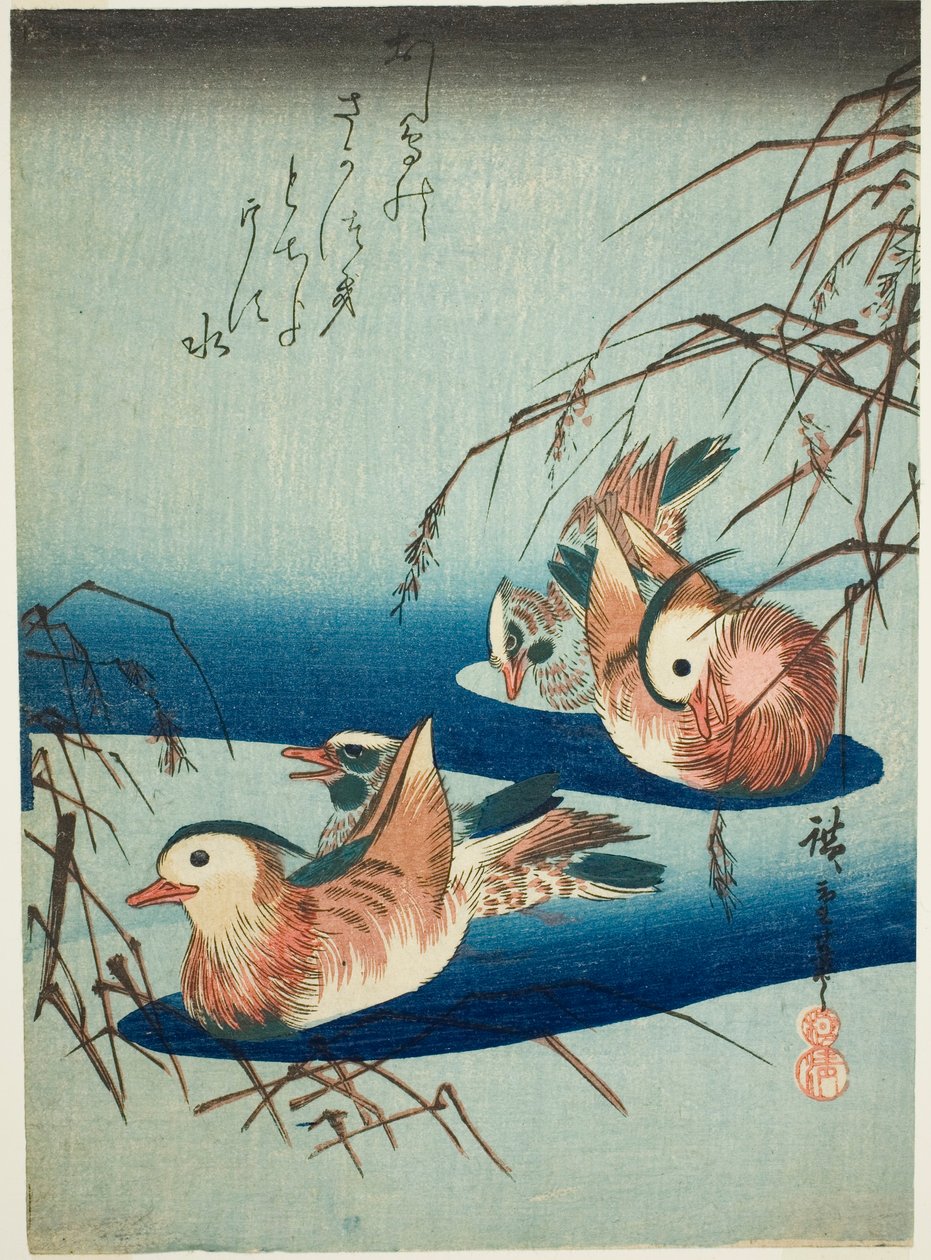 بط الماندرين بواسطة Utagawa Hiroshige