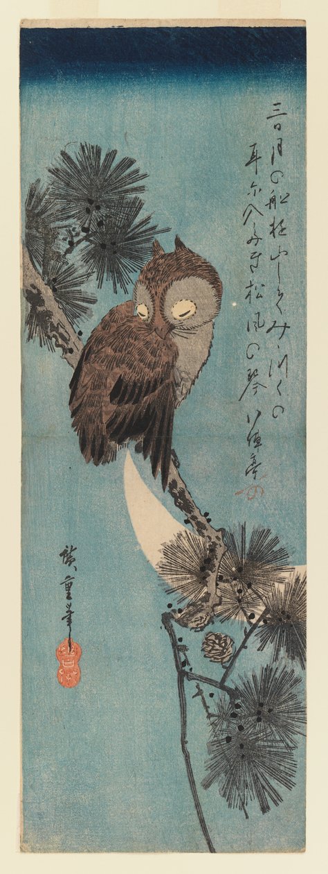 بومة على فرع الصنوبر ، c.1833 (طباعة خشبية ملونة) بواسطة Utagawa Hiroshige