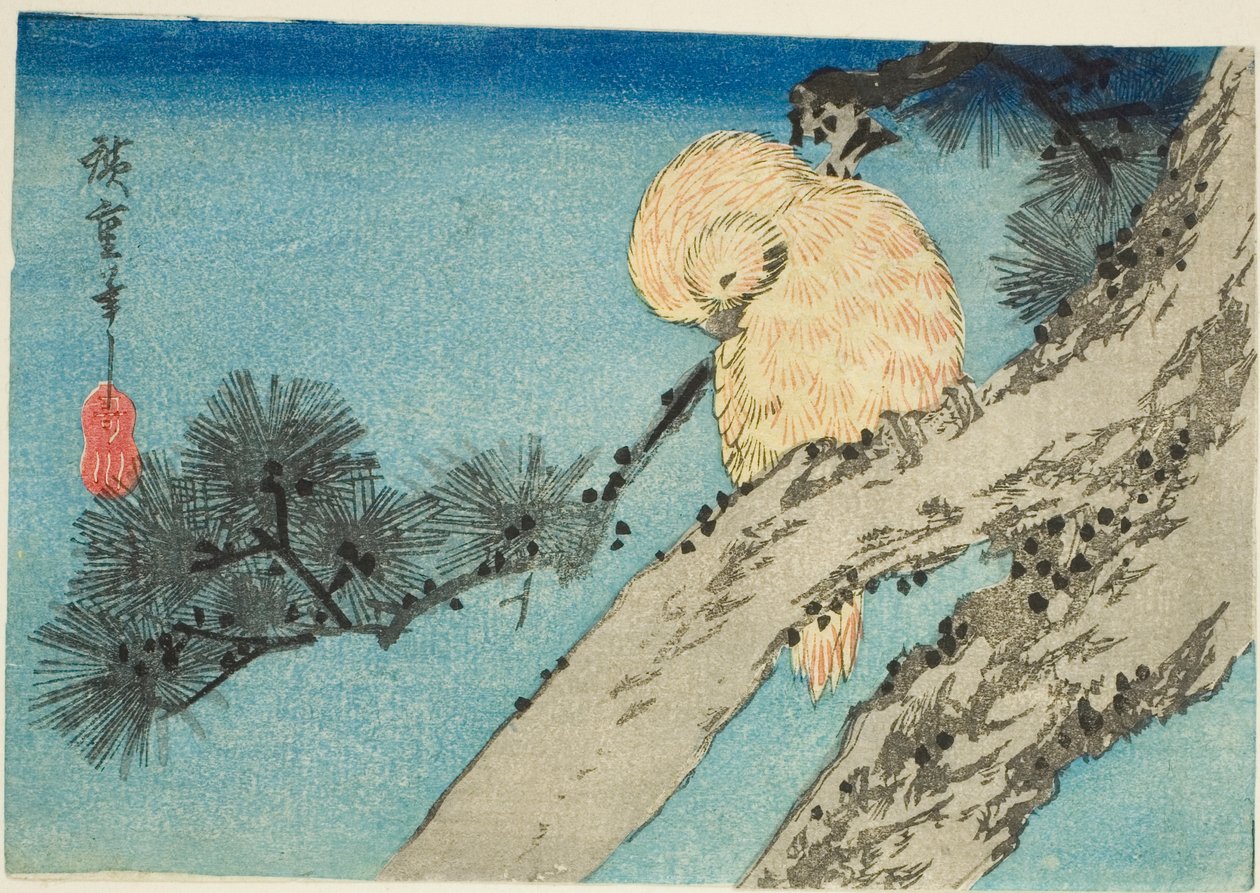 بومة على فرع الصنوبر بواسطة Utagawa Hiroshige