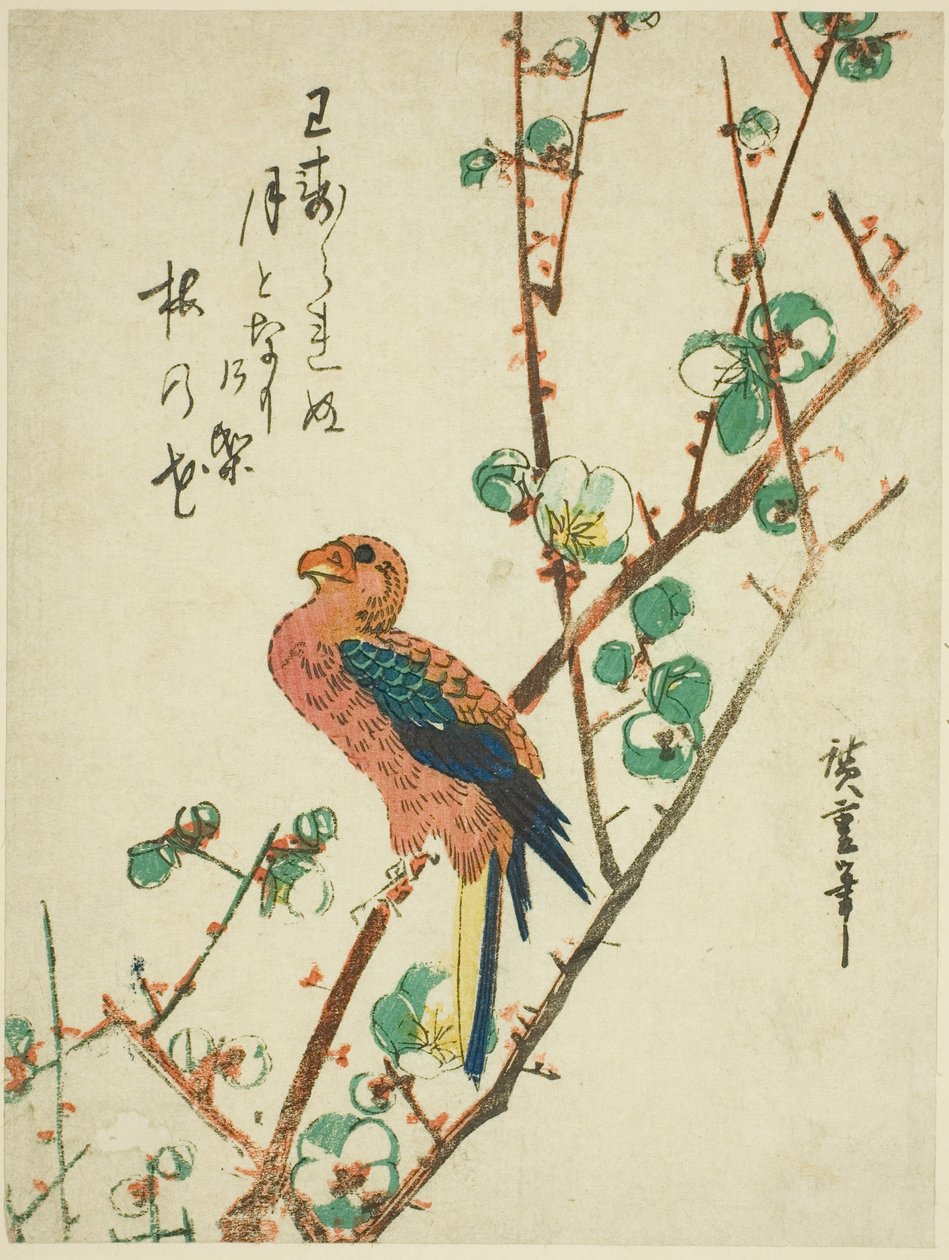 ببغاء على شجرة البرقوق بواسطة Utagawa Hiroshige