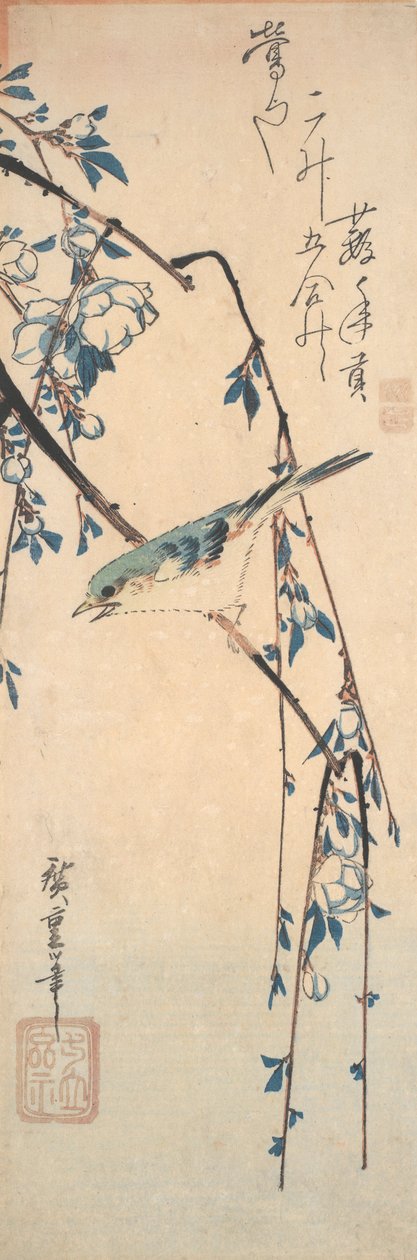 ذو الذيل الأزرق المحاط بالأحمر على فرع الكرز بواسطة Utagawa Hiroshige