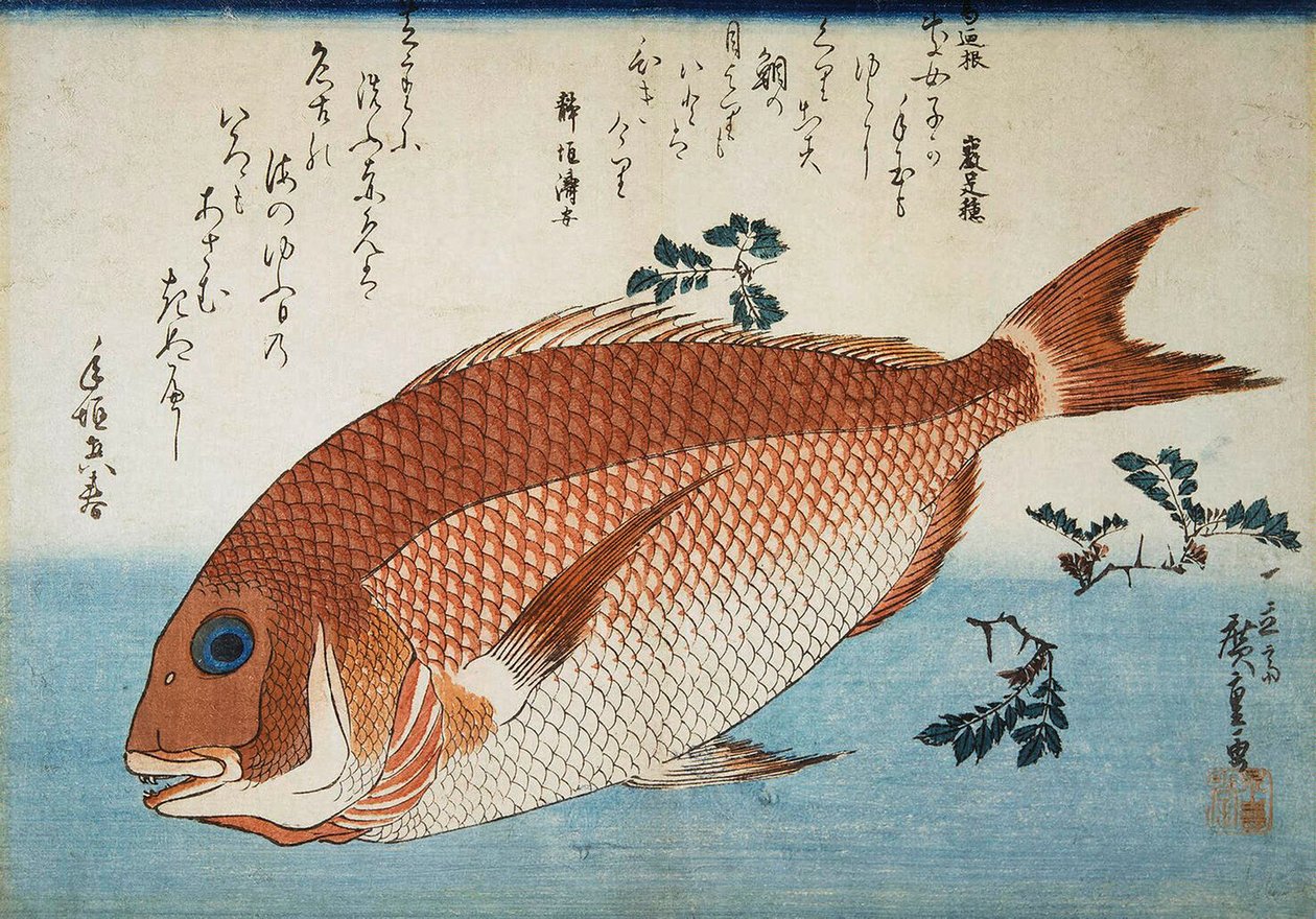 إبريم البحر الأحمر ، 1832-1834. بواسطة Utagawa Hiroshige