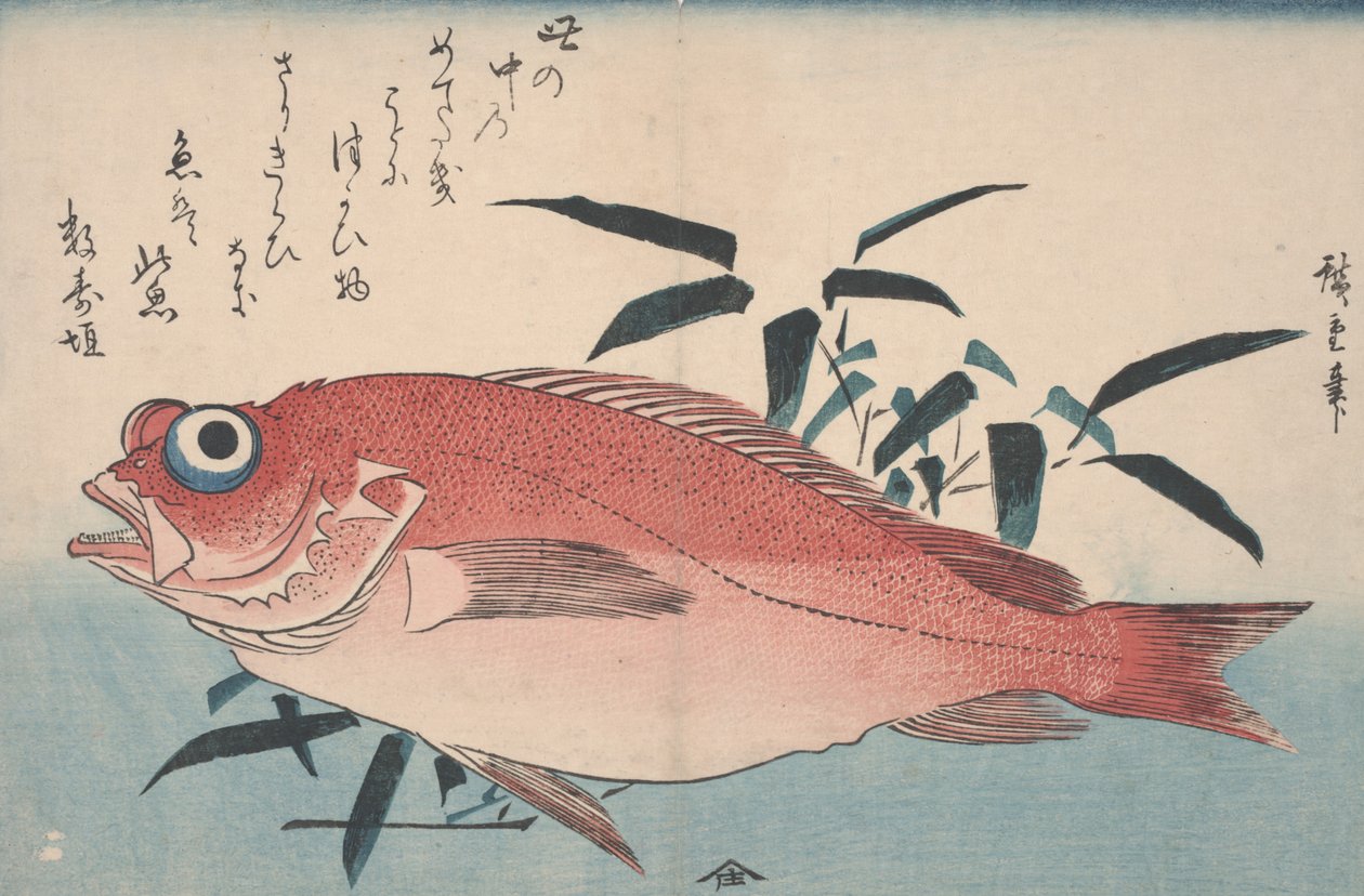 سمك الدنيس وعشب البامبو ، 1840 بواسطة Utagawa Hiroshige