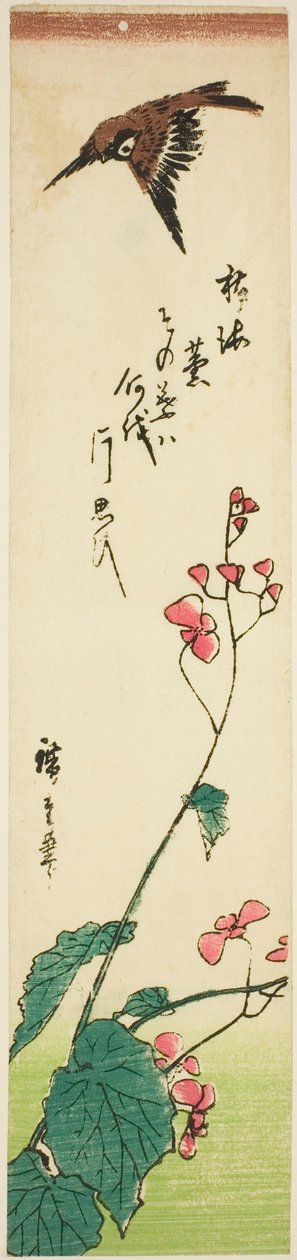 عصفور يحلق فوق بيجونيا بواسطة Utagawa Hiroshige