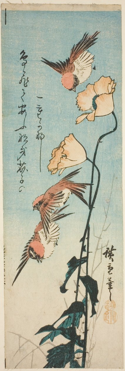 العصافير والخشخاش بواسطة Utagawa Hiroshige