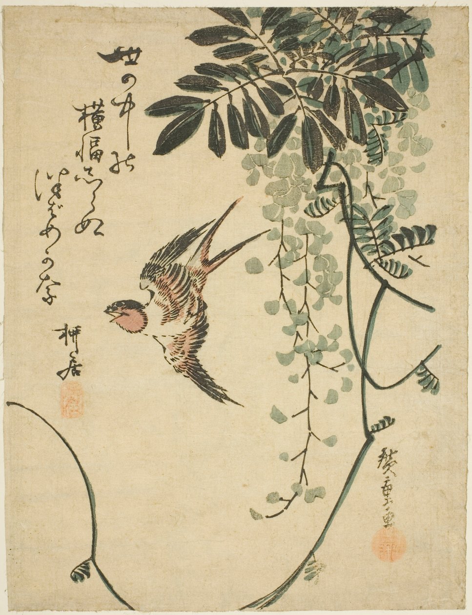السنونو والويستارية بواسطة Utagawa Hiroshige
