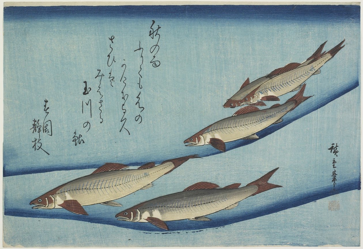 Sweetfish ، 1832-1833 بواسطة Utagawa Hiroshige