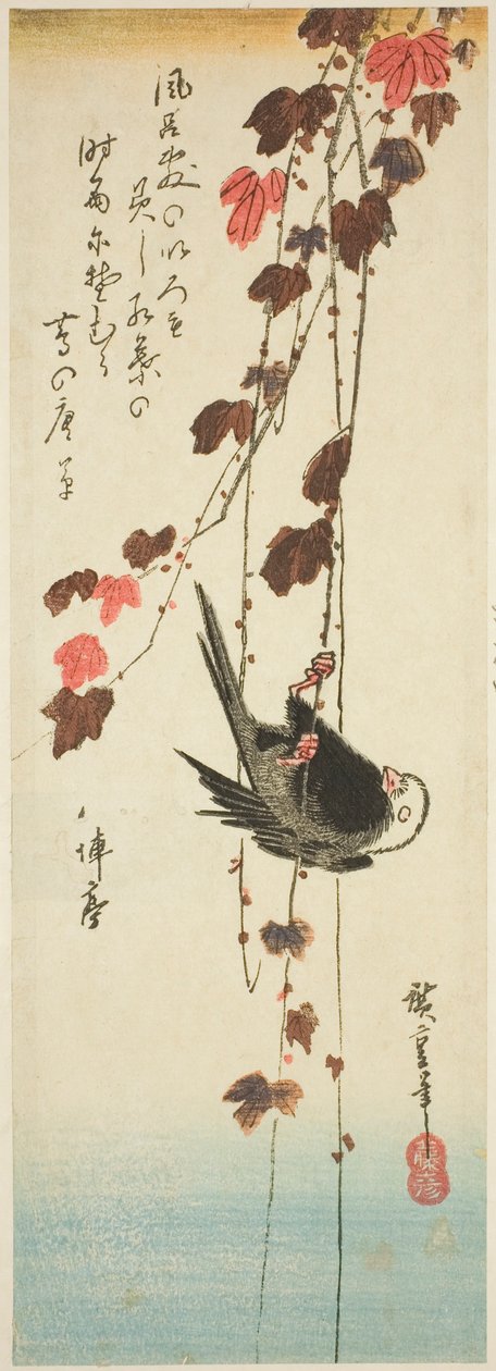 طائر أبيض الرأس واللبلاب بواسطة Utagawa Hiroshige