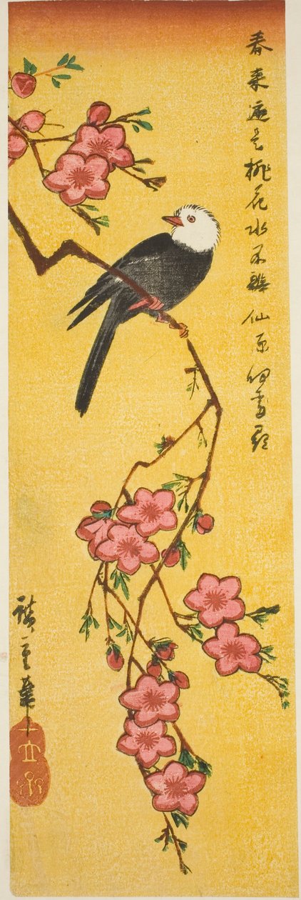 طائر أبيض الرأس على فرع الخوخ بواسطة Utagawa Hiroshige