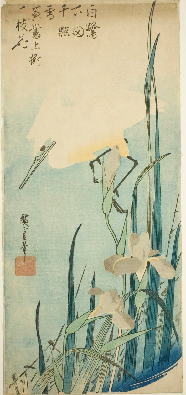مالك الحزين الأبيض والقزحية بواسطة Utagawa Hiroshige