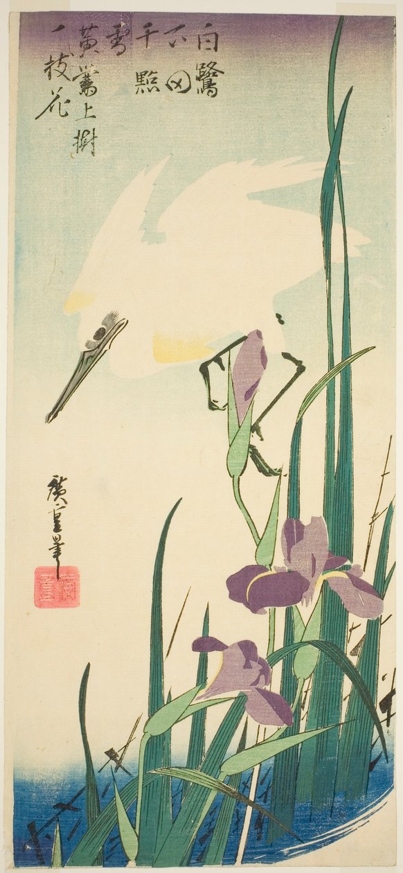 مالك الحزين الأبيض والقزحية بواسطة Utagawa Hiroshige