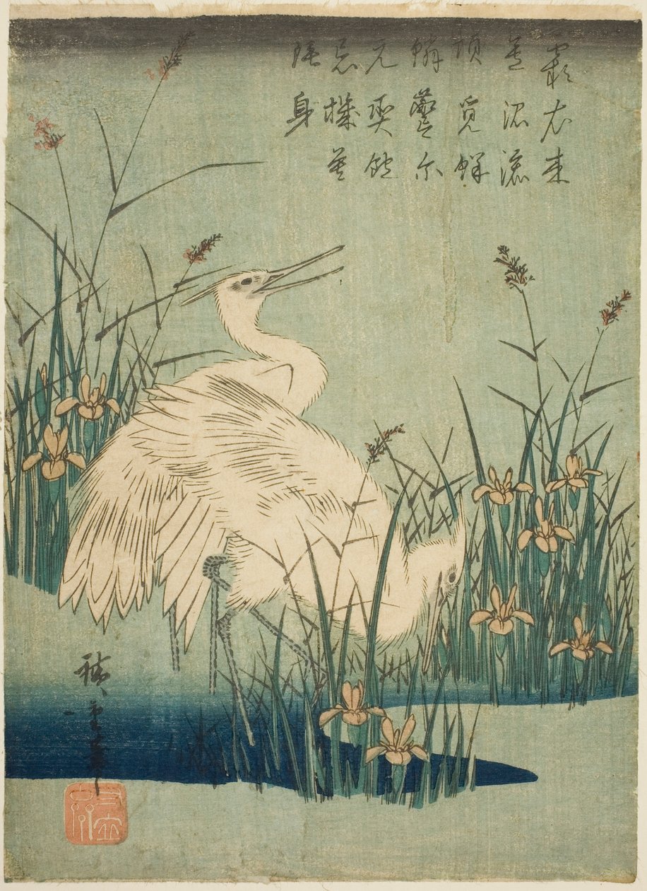 مالك الحزين الأبيض والقزحية بواسطة Utagawa Hiroshige