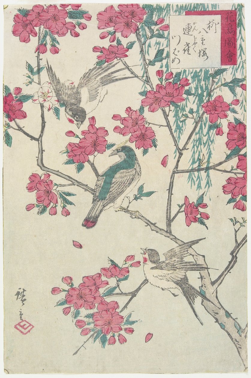 الصفصاف ، أزهار الكرز ، العصافير والبلع ، أوائل القرن التاسع عشر بواسطة Utagawa Hiroshige