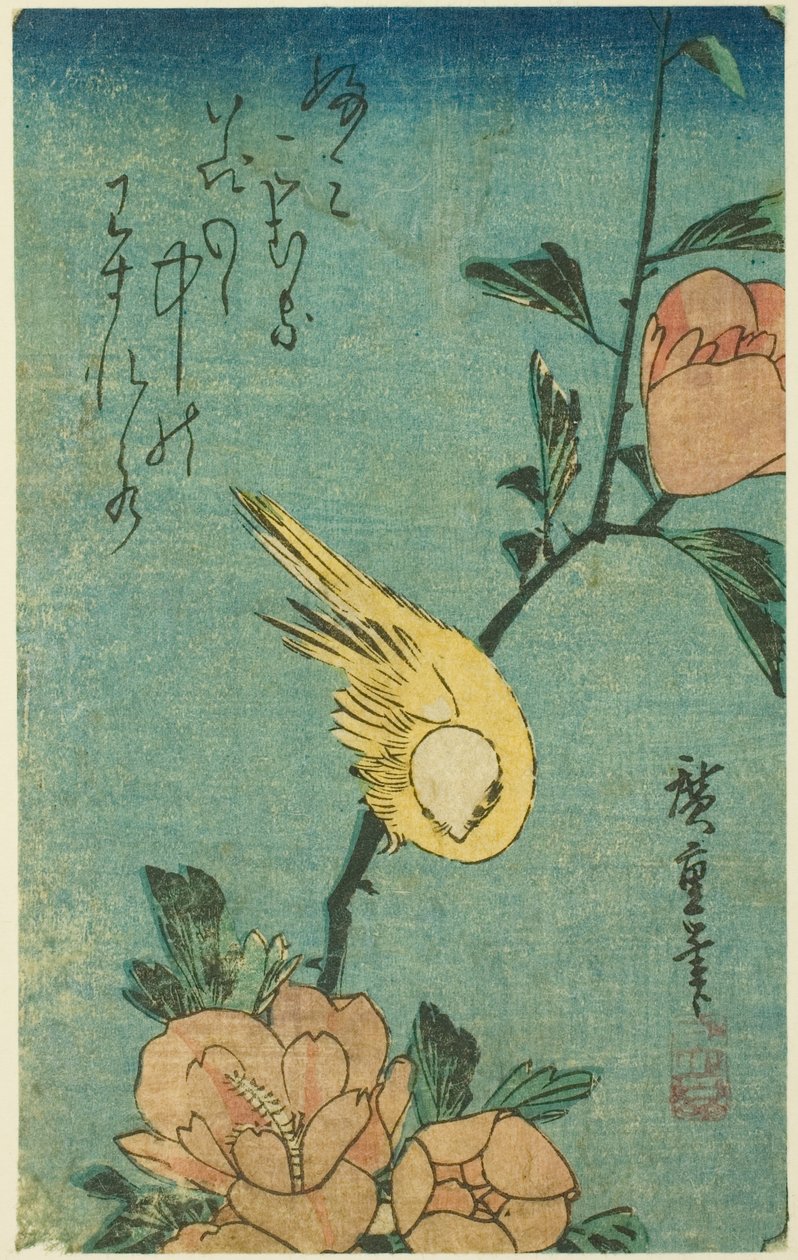 طائر أصفر وكركديه بواسطة Utagawa Hiroshige