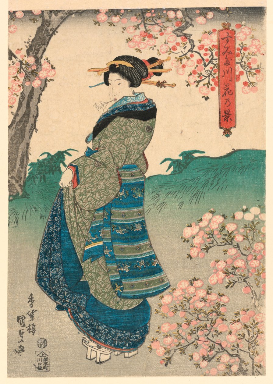 امرأة تشاهد أزهار الكرز على ضفة نهر سوميدا (Sumidagawa hana no kei) بواسطة أوتاغاوا كونيسادا