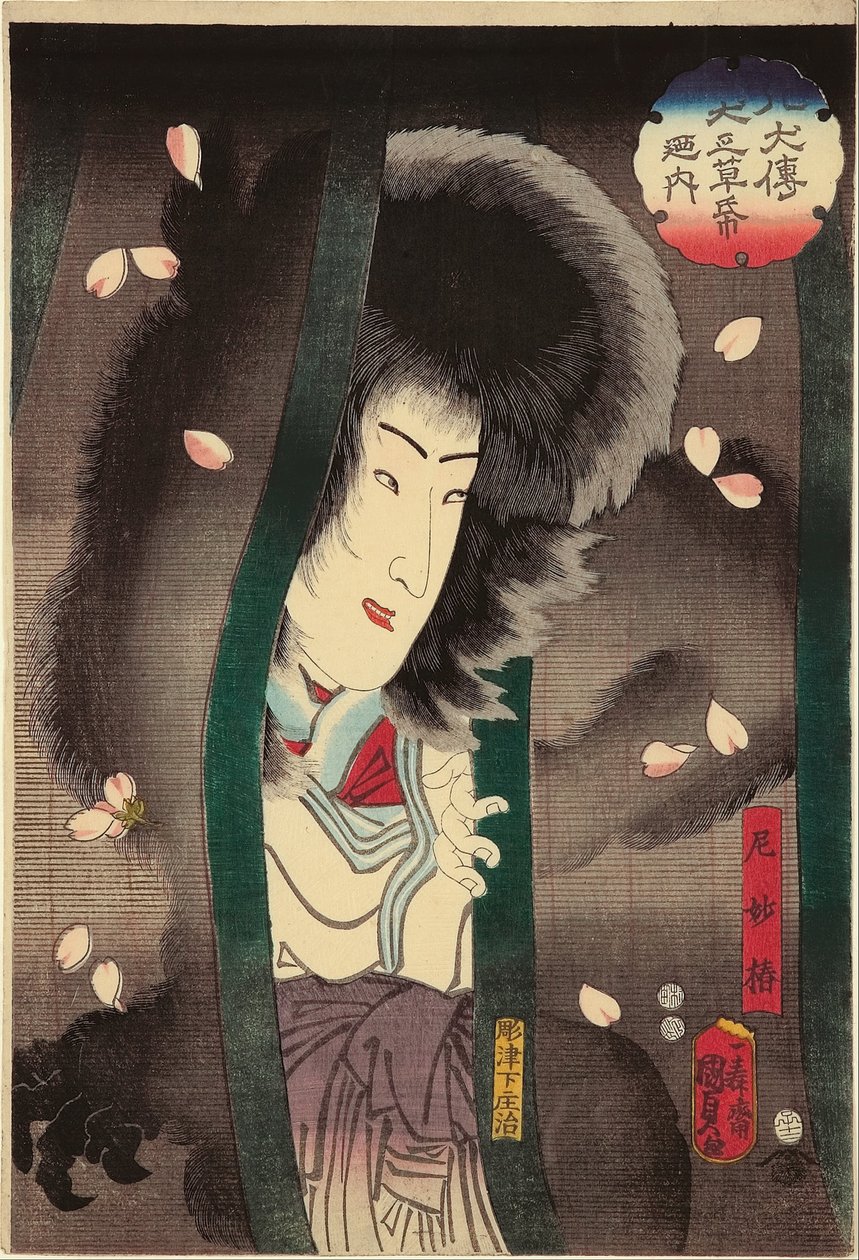 قطة الراهبة (Ama Myochin) (الممثل Segawa Kikunojo V) ، XII - 1852 من سلسلة "From the dog Storybook ، حكاية أبطال الكلاب الثمانية (Hakkenden inu no soshi no uchi)" بواسطة أوتاغاوا كونيسادا الثاني