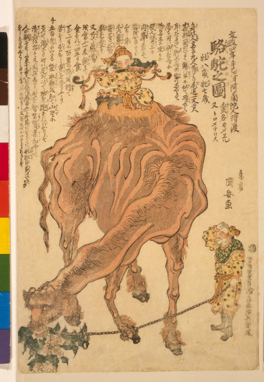 جمل ، حانة. 1824 (نقش خشبي ملون) بواسطة Utagawa Kuniyasu