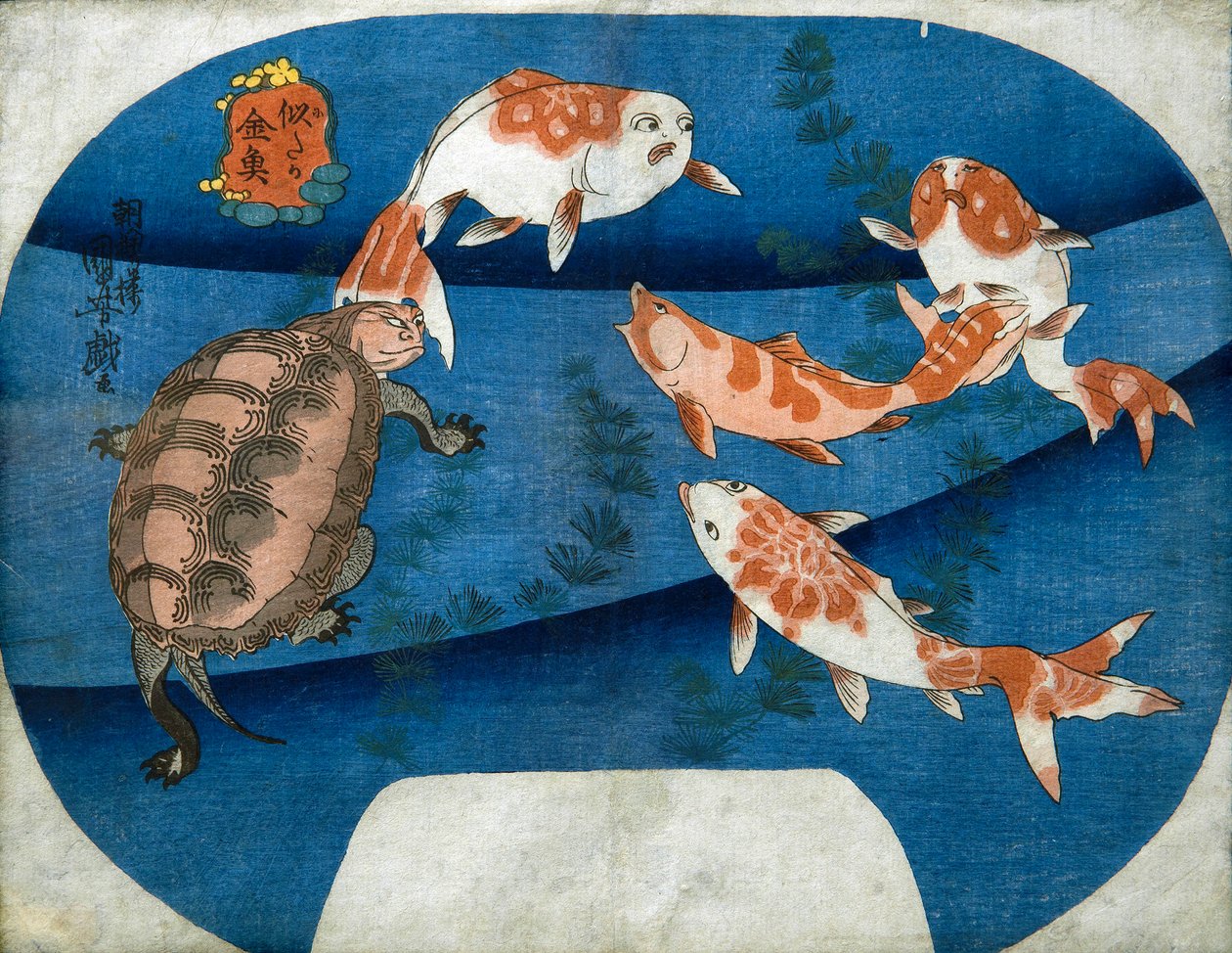 ذهبية تشبه الممثلين (Nitaka kingyo) ، حوالي عام 1842 بواسطة Utagawa Kuniyoshi