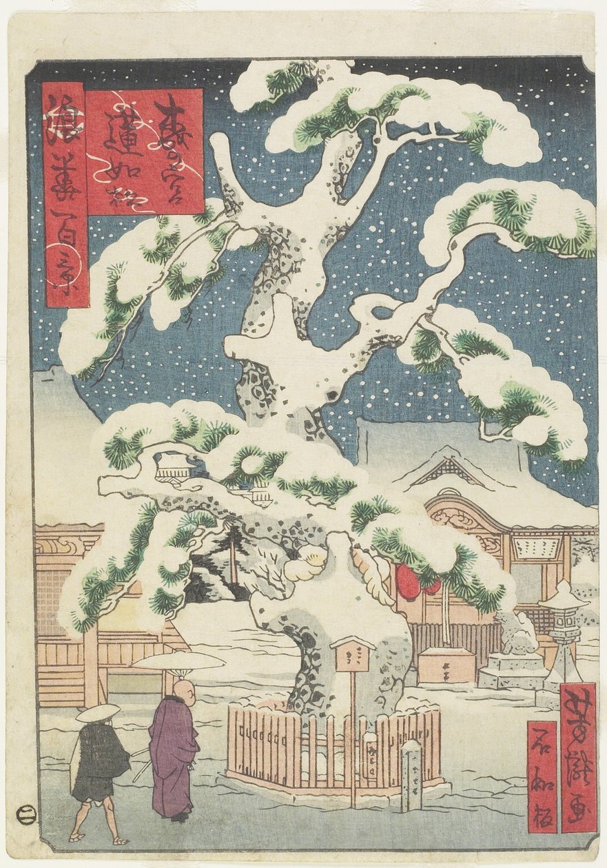 Rennyo-Pine Tree at Miyanomori ، القرن التاسع عشر (طبعة خشبية ملونة) بواسطة أوتاغاوا يوشيتاكي