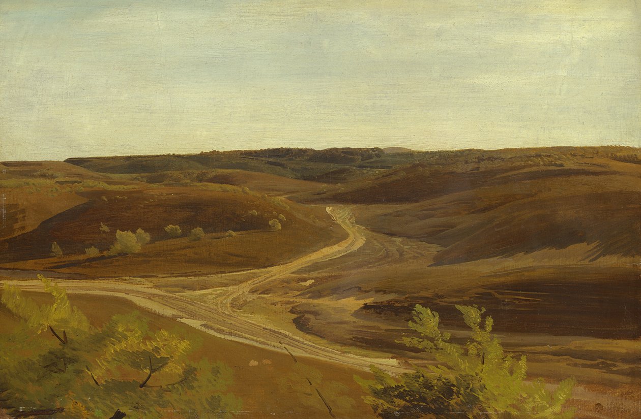 The Moorland بالقرب من Ehestorf ، 1868 (زيت على ورق على متن) بواسطة فالنتين روثس