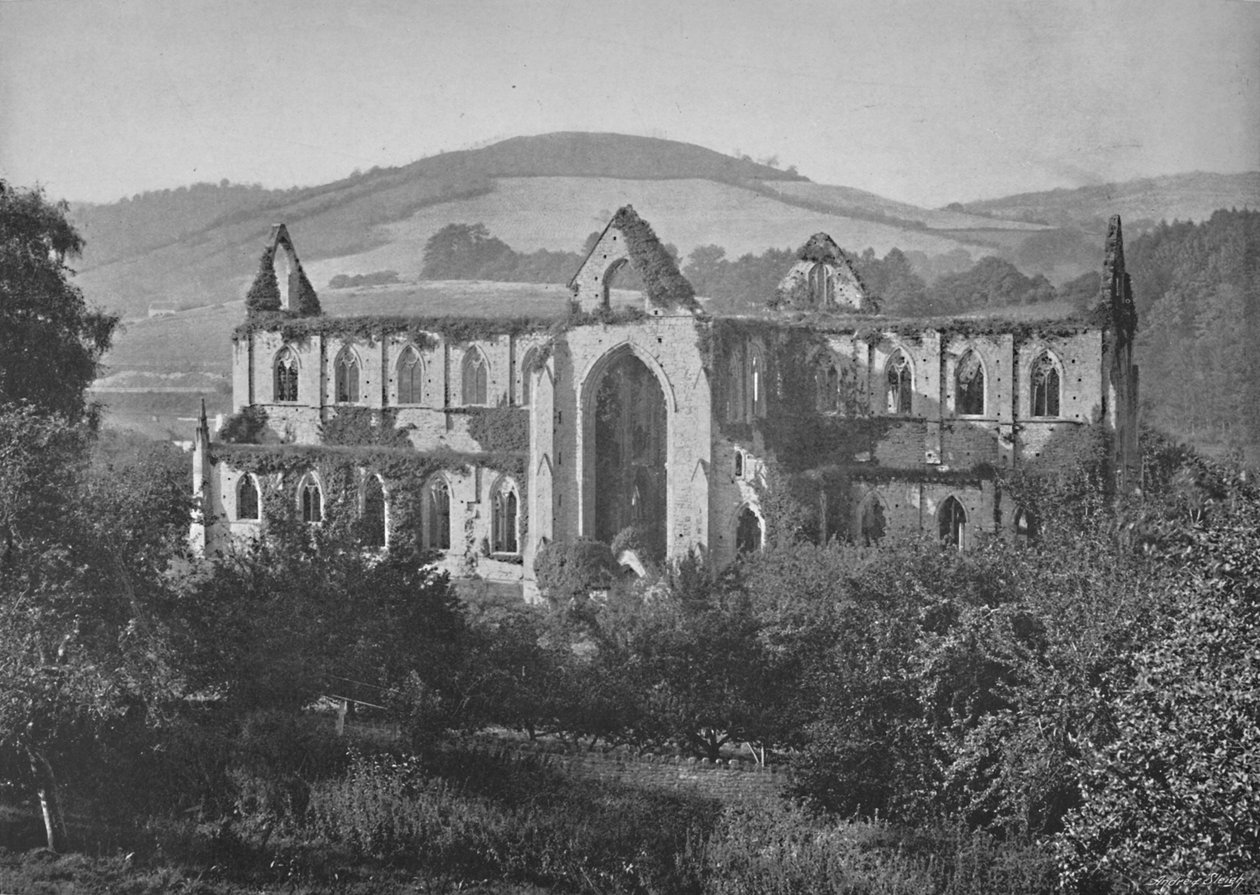 دير تينترن ، c1896 بواسطة عيد الحب وأولاده المحدودة
