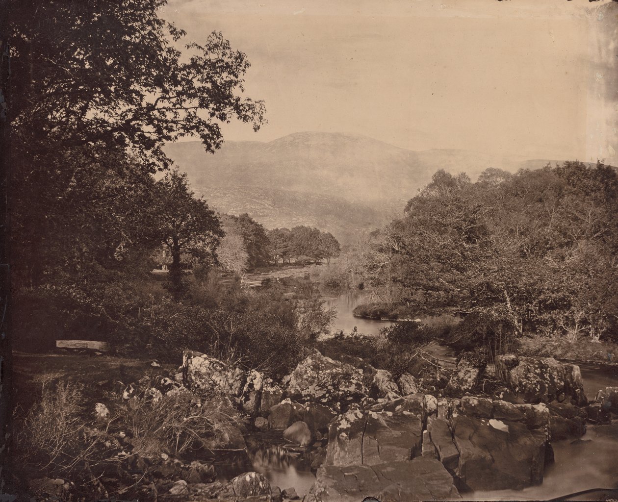 منظر من العشب ، Dennicanniby ، 1870s. بواسطة فيرنون هيث