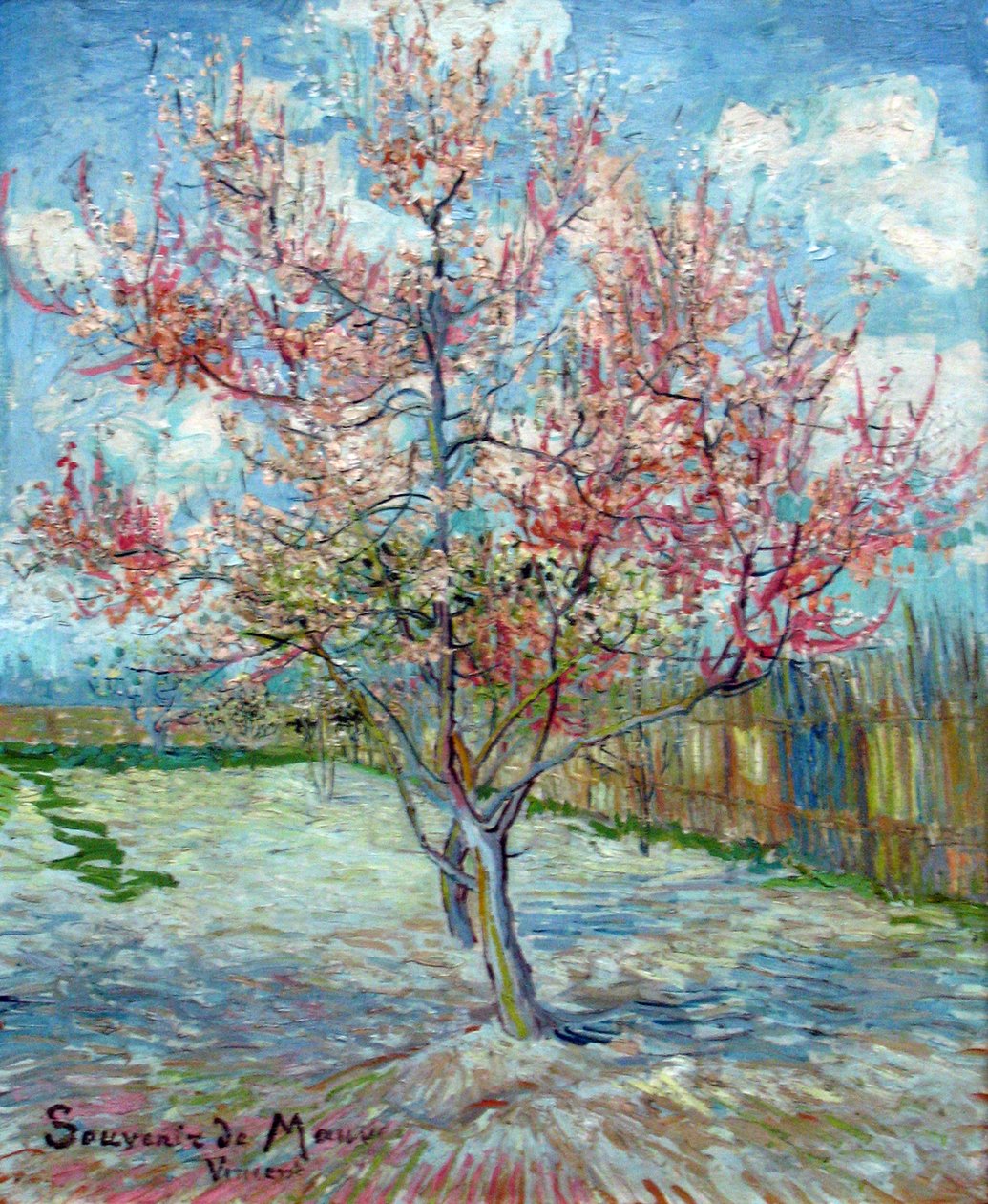 Rosa Pfirsichbäume (Souvenir de Mauve) بواسطة فنسنت فان جوخ